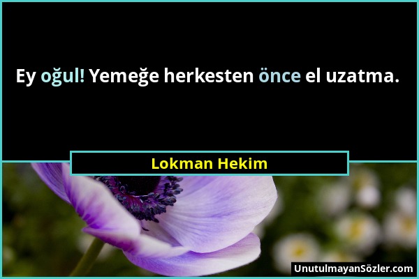 Lokman Hekim - Ey oğul! Yemeğe herkesten önce el uzatma....