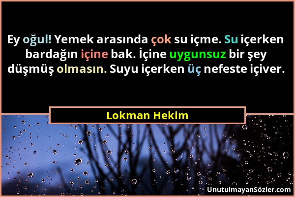 Lokman Hekim - Ey oğul! Yemek arasında çok su içme. Su içerken bardağın içine bak. İçine uygunsuz bir şey düşmüş olmasın. Suyu içerken üç nefeste içiv...