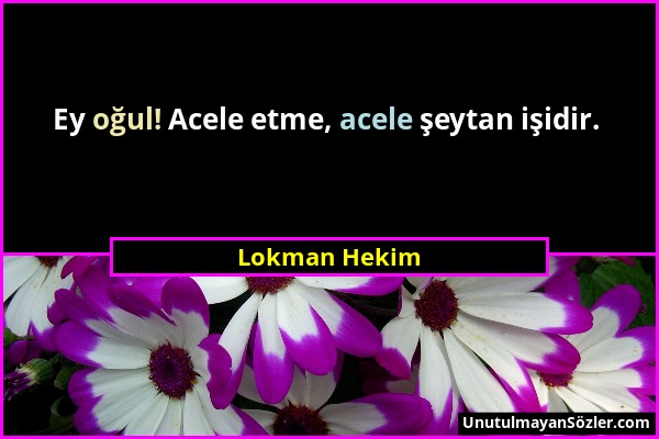 Lokman Hekim - Ey oğul! Acele etme, acele şeytan işidir....