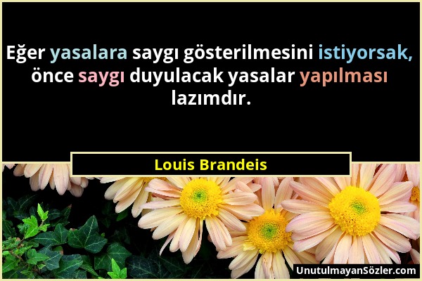 Louis Brandeis - Eğer yasalara saygı gösterilmesini istiyorsak, önce saygı duyulacak yasalar yapılması lazımdır....