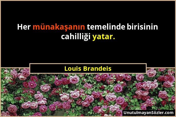 Louis Brandeis - Her münakaşanın temelinde birisinin cahilliği yatar....