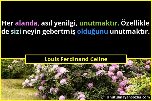 Louis Ferdinand Celine - Her alanda, asıl yenilgi, unutmaktır. Özellikle de sizi neyin gebertmiş olduğunu unutmaktır....