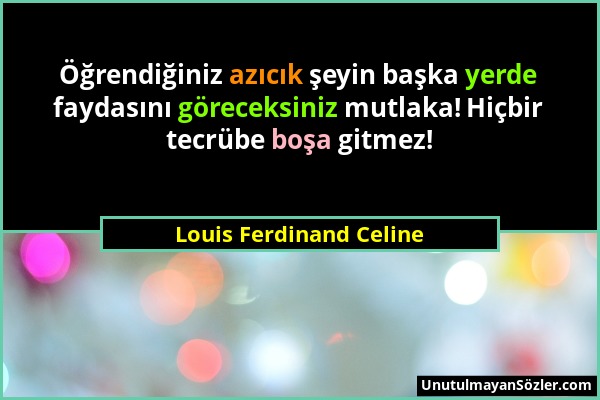 Louis Ferdinand Celine - Öğrendiğiniz azıcık şeyin başka yerde faydasını göreceksiniz mutlaka! Hiçbir tecrübe boşa gitmez!...
