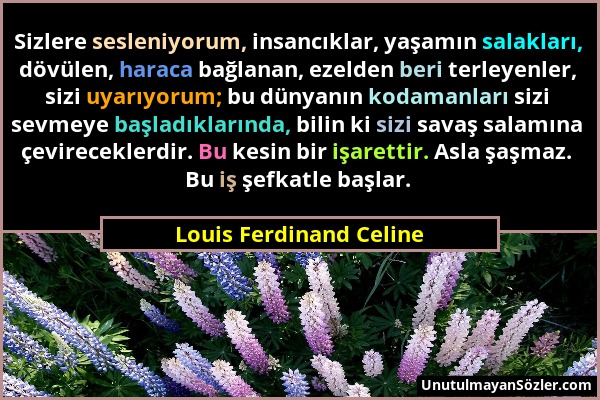 Louis Ferdinand Celine - Sizlere sesleniyorum, insancıklar, yaşamın salakları, dövülen, haraca bağlanan, ezelden beri terleyenler, sizi uyarıyorum; bu...
