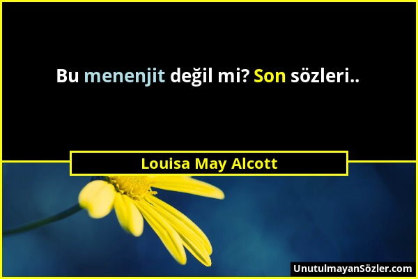 Louisa May Alcott - Bu menenjit değil mi? Son sözleri.....