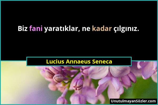 Lucius Annaeus Seneca - Biz fani yaratıklar, ne kadar çılgınız....