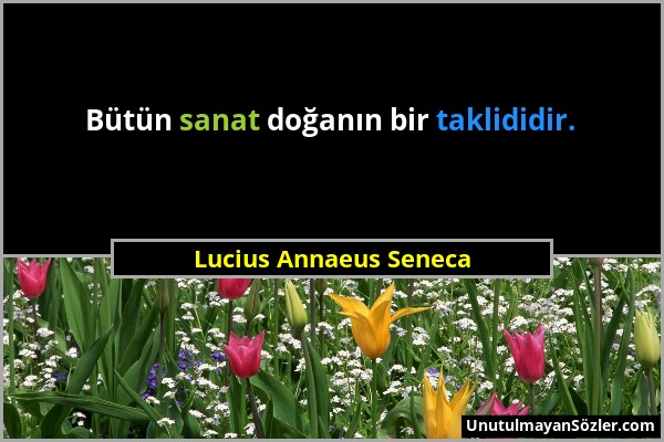 Lucius Annaeus Seneca - Bütün sanat doğanın bir taklididir....