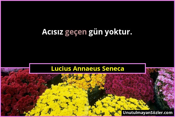 Lucius Annaeus Seneca - Acısız geçen gün yoktur....