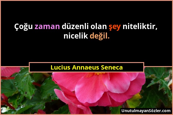 Lucius Annaeus Seneca - Çoğu zaman düzenli olan şey niteliktir, nicelik değil....