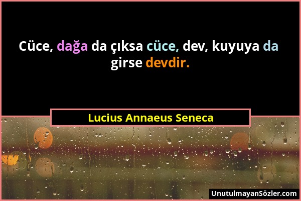 Lucius Annaeus Seneca - Cüce, dağa da çıksa cüce, dev, kuyuya da girse devdir....