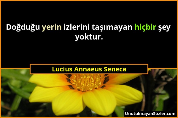 Lucius Annaeus Seneca - Doğduğu yerin izlerini taşımayan hiçbir şey yoktur....