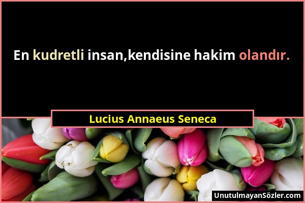 Lucius Annaeus Seneca - En kudretli insan,kendisine hakim olandır....