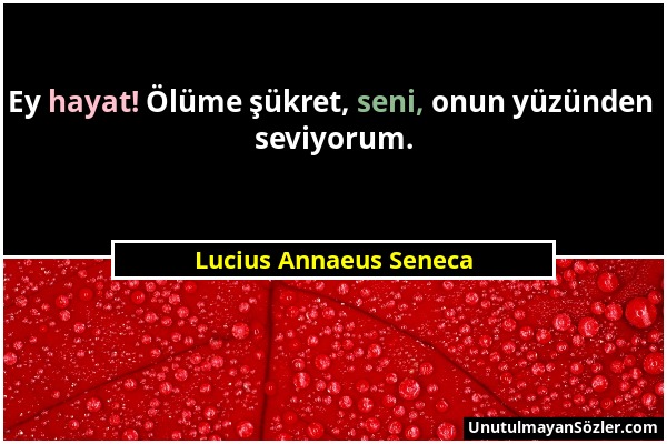 Lucius Annaeus Seneca - Ey hayat! Ölüme şükret, seni, onun yüzünden seviyorum....