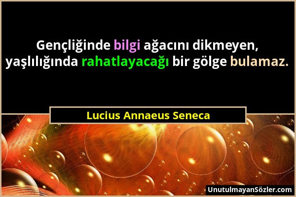 Lucius Annaeus Seneca - Gençliğinde bilgi ağacını dikmeyen, yaşlılığında rahatlayacağı bir gölge bulamaz....
