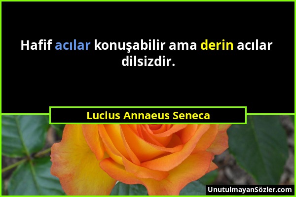 Lucius Annaeus Seneca - Hafif acılar konuşabilir ama derin acılar dilsizdir....