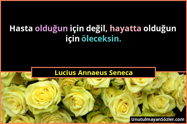 Lucius Annaeus Seneca - Hasta olduğun için değil, hayatta olduğun için öleceksin....