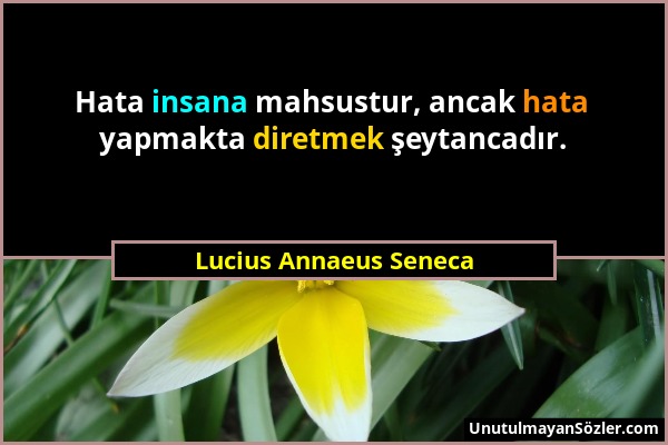 Lucius Annaeus Seneca - Hata insana mahsustur, ancak hata yapmakta diretmek şeytancadır....