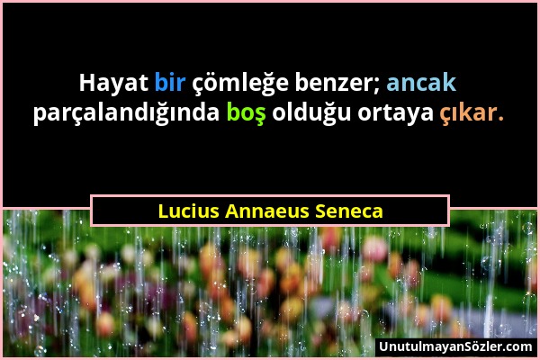 Lucius Annaeus Seneca - Hayat bir çömleğe benzer; ancak parçalandığında boş olduğu ortaya çıkar....