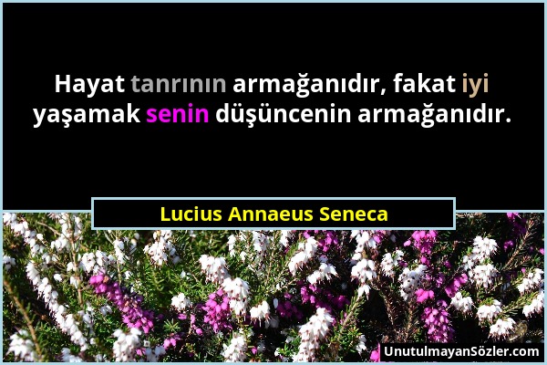 Lucius Annaeus Seneca - Hayat tanrının armağanıdır, fakat iyi yaşamak senin düşüncenin armağanıdır....
