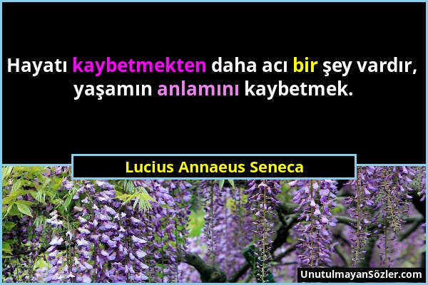 Lucius Annaeus Seneca - Hayatı kaybetmekten daha acı bir şey vardır, yaşamın anlamını kaybetmek....