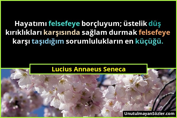Lucius Annaeus Seneca - Hayatımı felsefeye borçluyum; üstelik düş kırıklıkları karşısında sağlam durmak felsefeye karşı taşıdığım sorumlulukların en k...