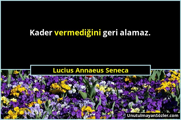 Lucius Annaeus Seneca - Kader vermediğini geri alamaz....