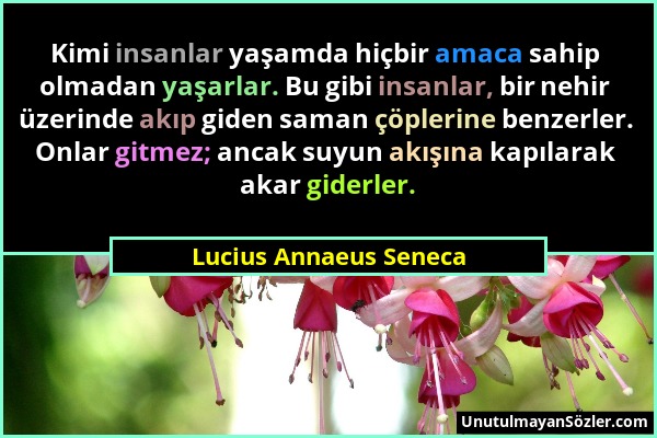 Lucius Annaeus Seneca - Kimi insanlar yaşamda hiçbir amaca sahip olmadan yaşarlar. Bu gibi insanlar, bir nehir üzerinde akıp giden saman çöplerine ben...