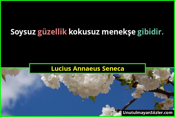 Lucius Annaeus Seneca - Soysuz güzellik kokusuz menekşe gibidir....