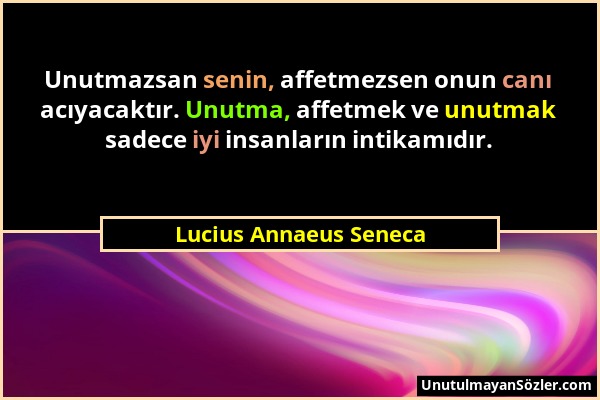 Lucius Annaeus Seneca - Unutmazsan senin, affetmezsen onun canı acıyacaktır. Unutma, affetmek ve unutmak sadece iyi insanların intikamıdır....