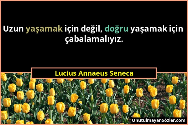Lucius Annaeus Seneca - Uzun yaşamak için değil, doğru yaşamak için çabalamalıyız....