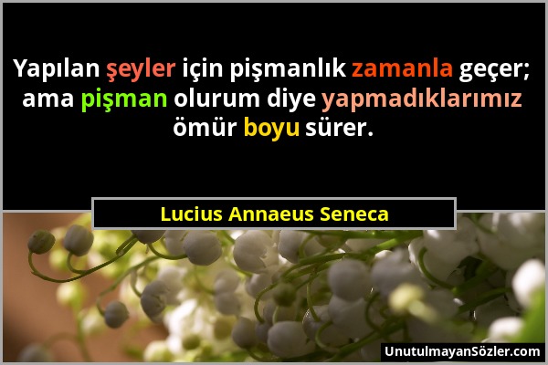 Lucius Annaeus Seneca - Yapılan şeyler için pişmanlık zamanla geçer; ama pişman olurum diye yapmadıklarımız ömür boyu sürer....