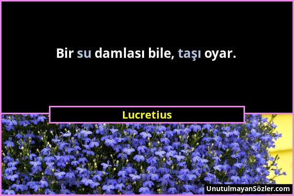 Lucretius - Bir su damlası bile, taşı oyar....