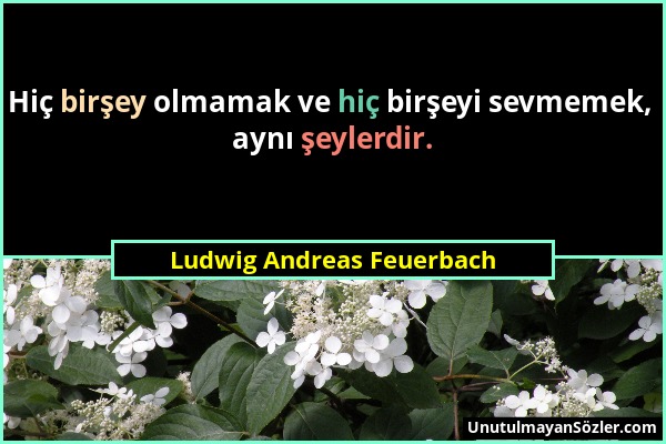 Ludwig Andreas Feuerbach - Hiç birşey olmamak ve hiç birşeyi sevmemek, aynı şeylerdir....