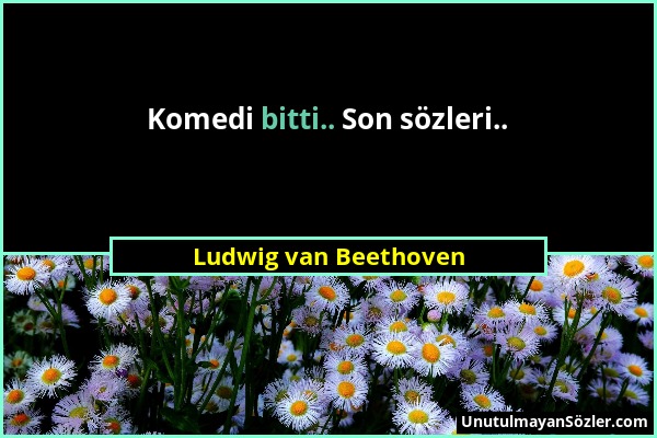 Ludwig van Beethoven - Komedi bitti.. Son sözleri.....