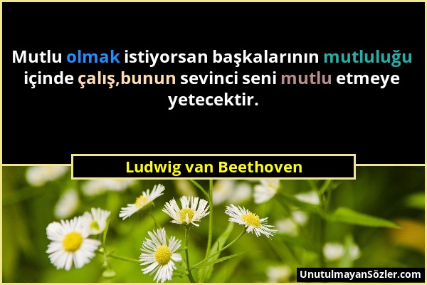 Ludwig van Beethoven - Mutlu olmak istiyorsan başkalarının mutluluğu içinde çalış,bunun sevinci seni mutlu etmeye yetecektir....
