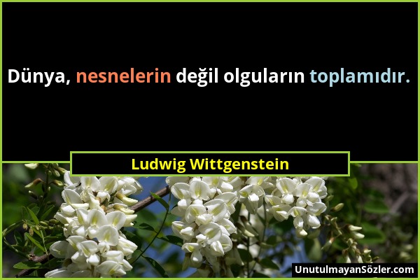 Ludwig Wittgenstein - Dünya, nesnelerin değil olguların toplamıdır....