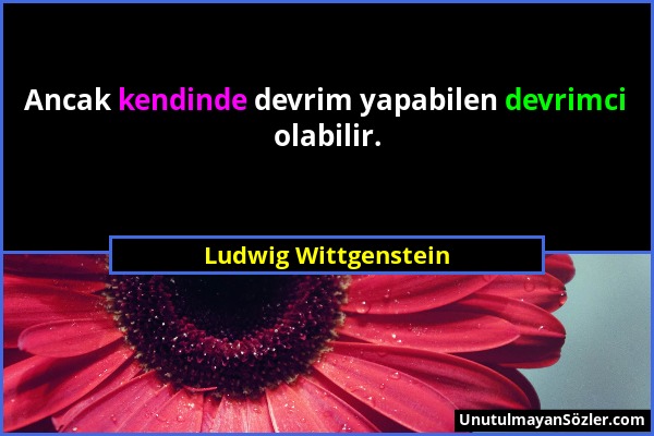 Ludwig Wittgenstein - Ancak kendinde devrim yapabilen devrimci olabilir....