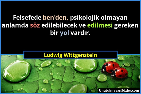 Ludwig Wittgenstein - Felsefede ben'den, psikolojik olmayan anlamda söz edilebilecek ve edilmesi gereken bir yol vardır....