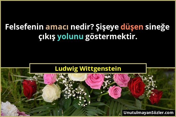 Ludwig Wittgenstein - Felsefenin amacı nedir? Şişeye düşen sineğe çıkış yolunu göstermektir....