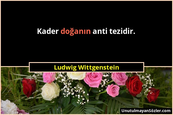 Ludwig Wittgenstein - Kader doğanın anti tezidir....