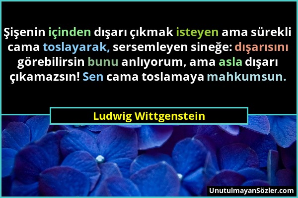 Ludwig Wittgenstein - Şişenin içinden dışarı çıkmak isteyen ama sürekli cama toslayarak, sersemleyen sineğe: dışarısını görebilirsin bunu anlıyorum, a...