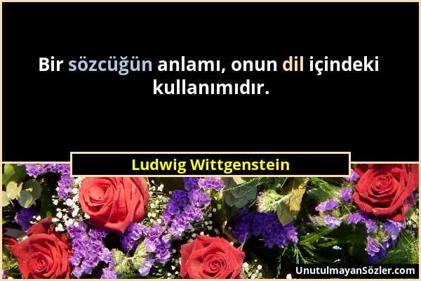 Ludwig Wittgenstein - Bir sözcüğün anlamı, onun dil içindeki kullanımıdır....