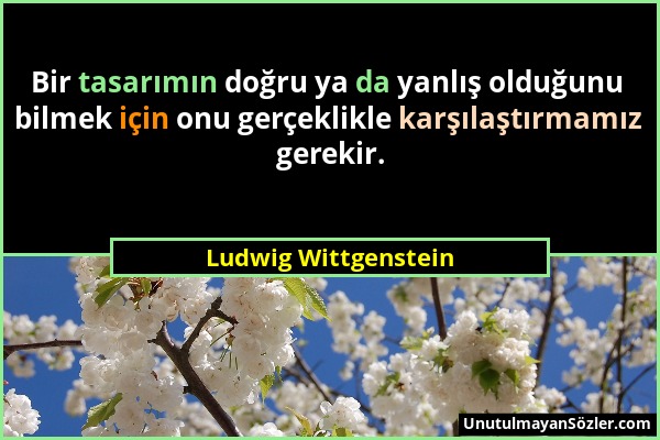 Ludwig Wittgenstein - Bir tasarımın doğru ya da yanlış olduğunu bilmek için onu gerçeklikle karşılaştırmamız gerekir....