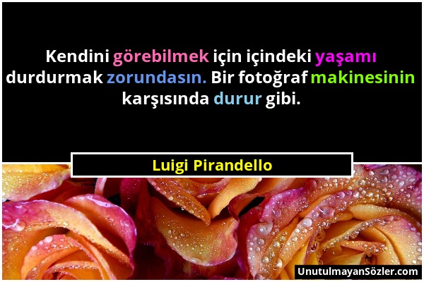 Luigi Pirandello - Kendini görebilmek için içindeki yaşamı durdurmak zorundasın. Bir fotoğraf makinesinin karşısında durur gibi....