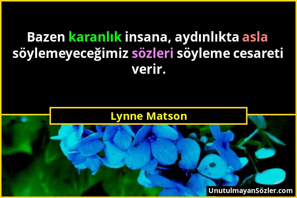 Lynne Matson - Bazen karanlık insana, aydınlıkta asla söylemeyeceğimiz sözleri söyleme cesareti verir....