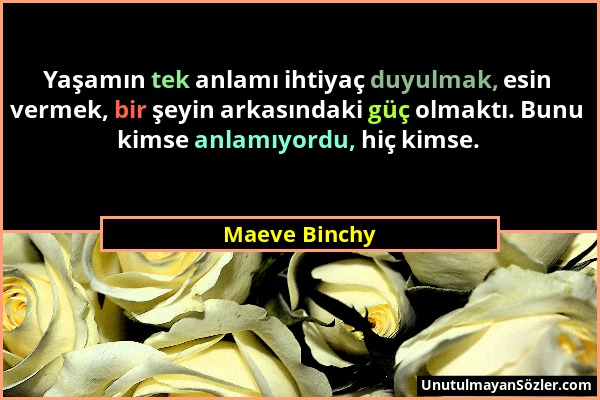 Maeve Binchy - Yaşamın tek anlamı ihtiyaç duyulmak, esin vermek, bir şeyin arkasındaki güç olmaktı. Bunu kimse anlamıyordu, hiç kimse....