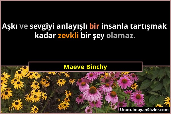 Maeve Binchy - Aşkı ve sevgiyi anlayışlı bir insanla tartışmak kadar zevkli bir şey olamaz....