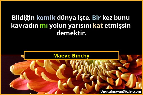 Maeve Binchy - Bildiğin komik dünya işte. Bir kez bunu kavradın mı yolun yarısını kat etmişsin demektir....