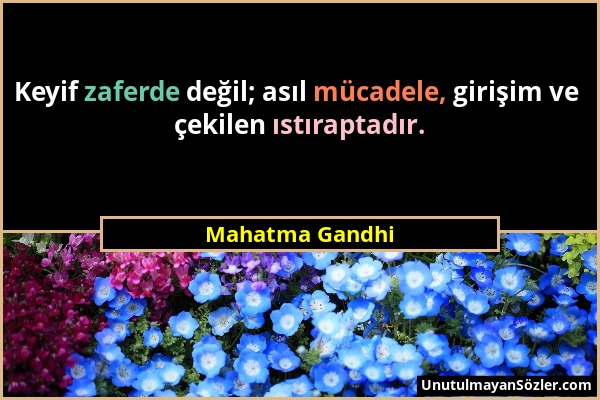 Mahatma Gandhi - Keyif zaferde değil; asıl mücadele, girişim ve çekilen ıstıraptadır....