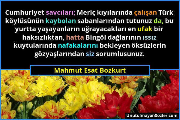 Mahmut Esat Bozkurt - Cumhuriyet savcıları; Meriç kıyılarında çalışan Türk köylüsünün kaybolan sabanlarından tutunuz da, bu yurtta yaşayanların uğraya...